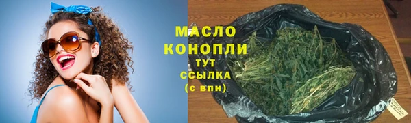 крисы Ельня