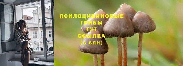 таблы Пролетарск